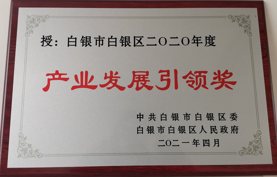 白銀區產(chǎn)業(yè)發(fā)展引領(lǐng)獎.jpg