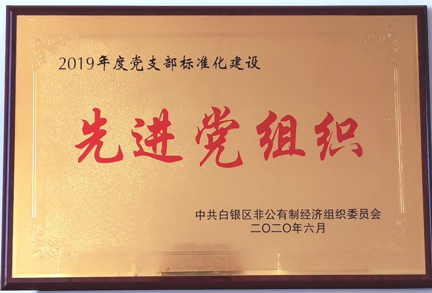 黨支部標準化建設先進(jìn)黨組織.jpg